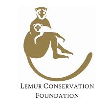 Lemur conservation foundation